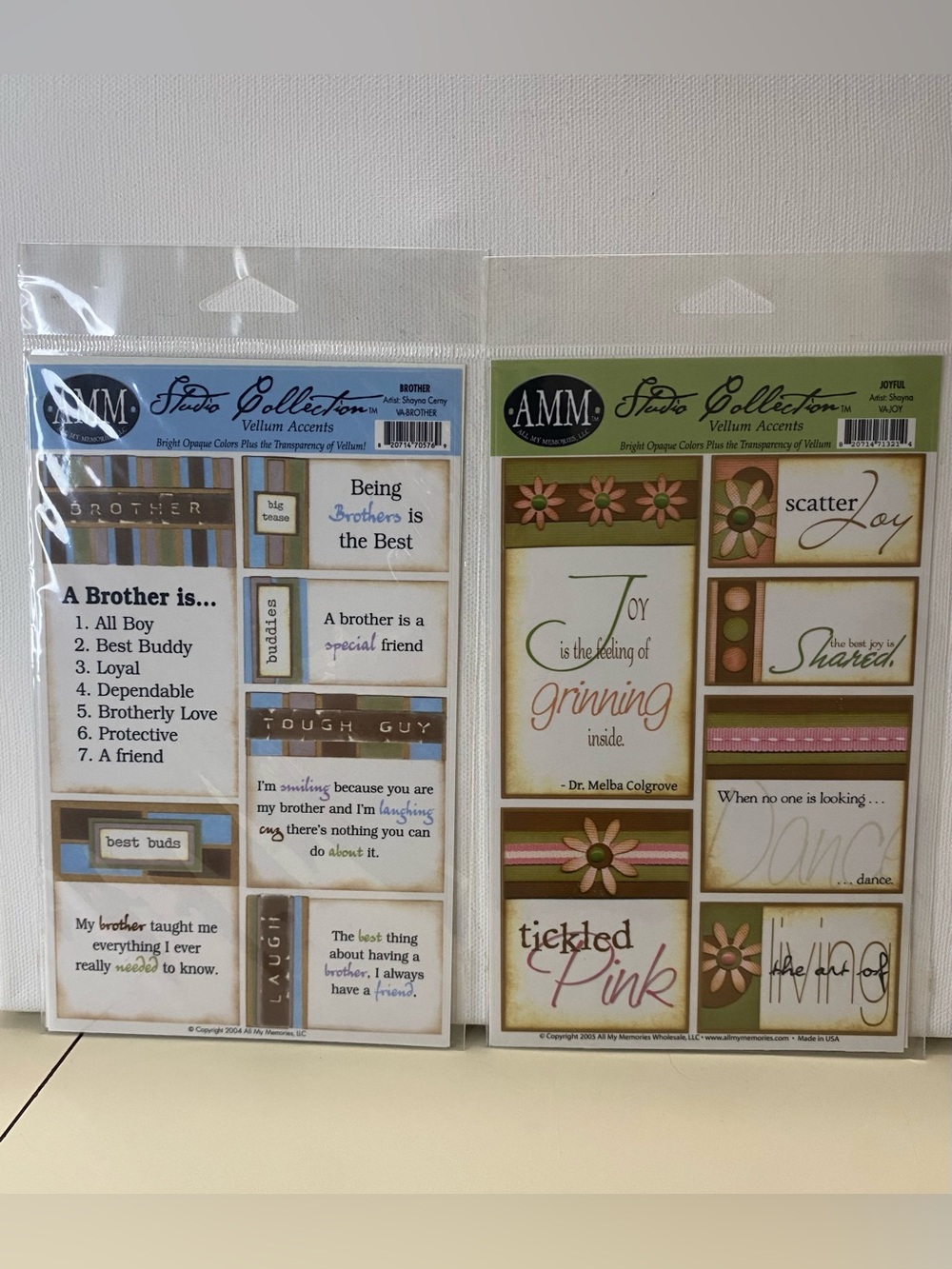 AMM Studio Collection Vellum Accents Brother Joyful Scrapbooking Embellishments